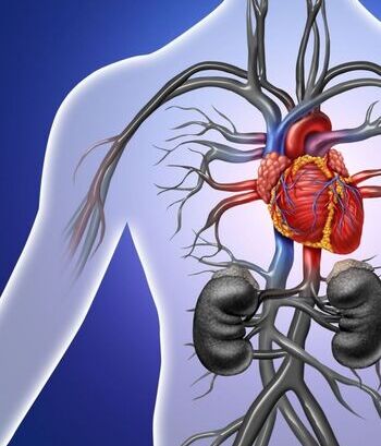 Sëmundja primare glomerulare rrit rrezikun për sëmundje kardiovaskulare